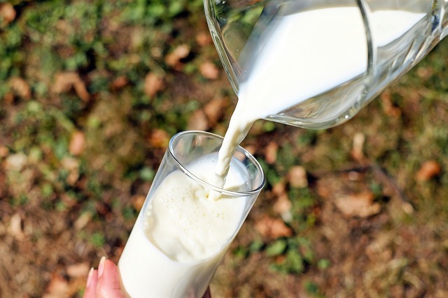 Historien i hånden: Drinks glas gennem tiderne