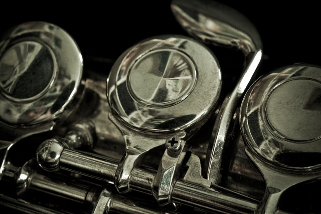 Tværfløjte som karriere: Hvordan man bliver professionel fløjtenist